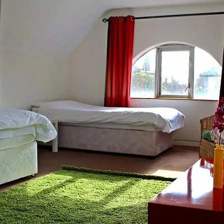 Paddy's House בית הארחה דבלין