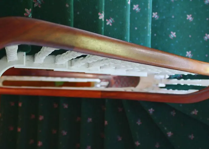 Paddy's House 게스트하우스 *